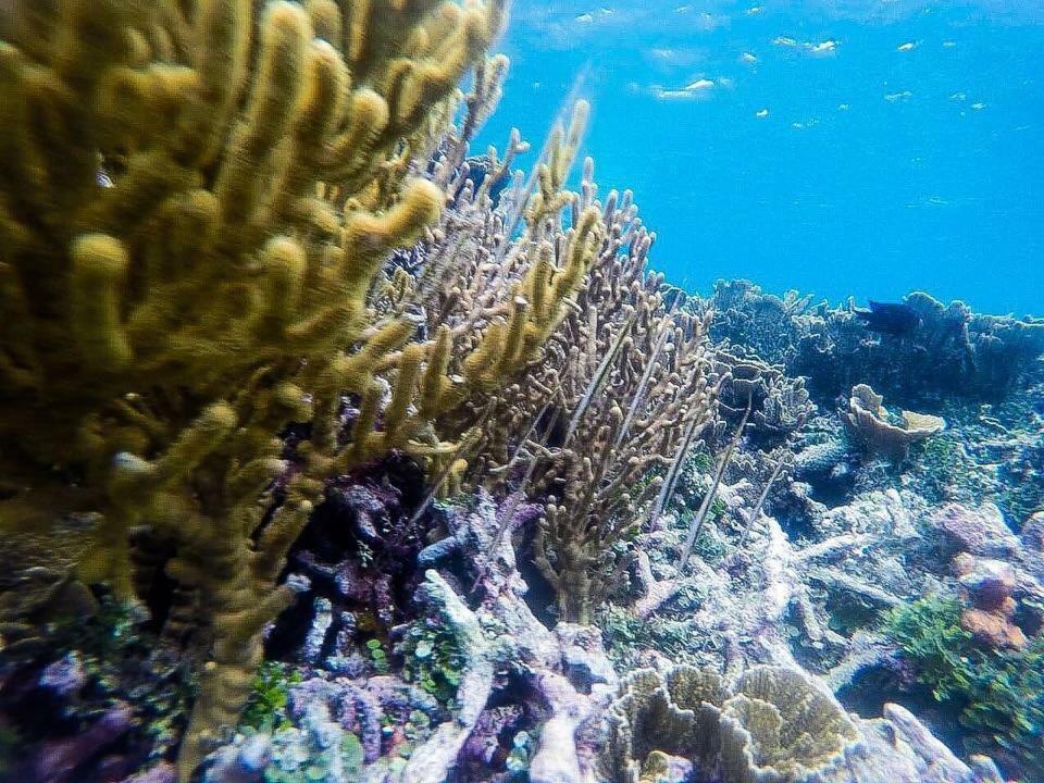 Deepsky Villa Karimunjawa Luaran gambar